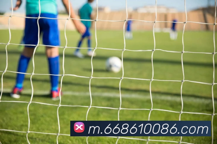 6686体育APP 封面图